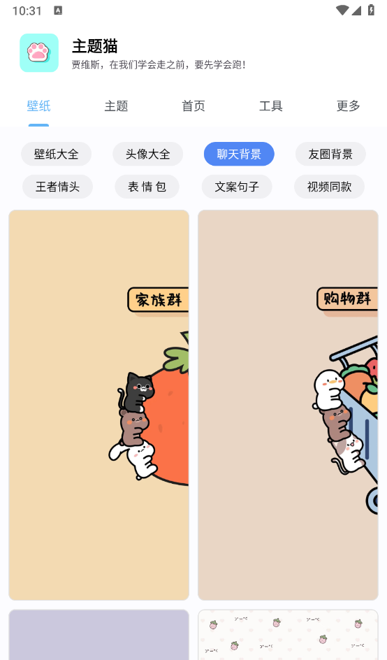 主题猫