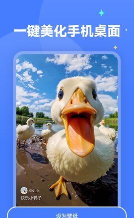 每天都会定时更新