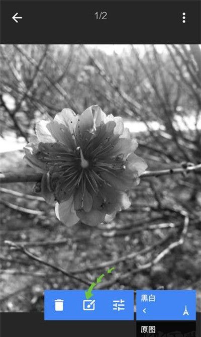 Snapseed官方正版