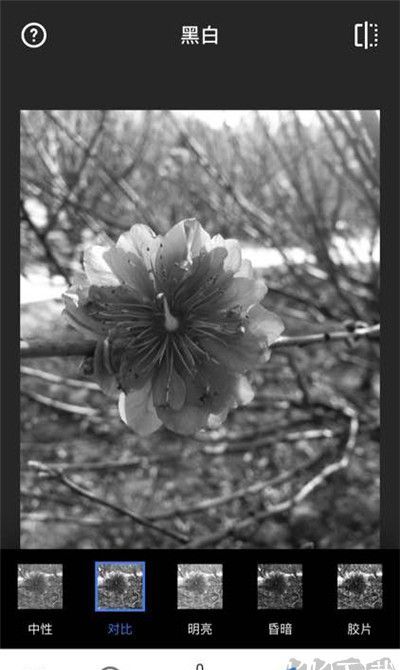 Snapseed官方正版