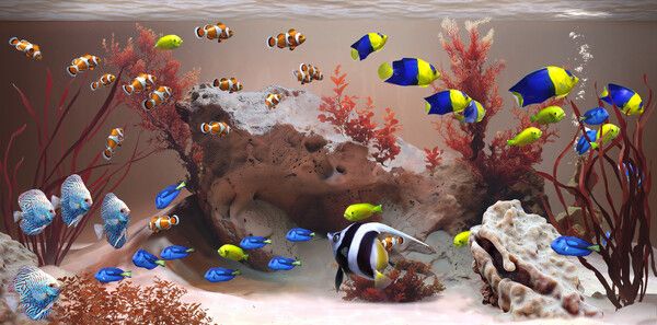 《Zen Aquarium》官方版