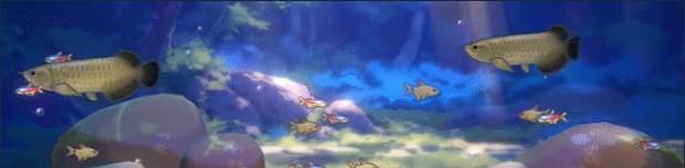 《鱼我一起: 水愈时光》demo