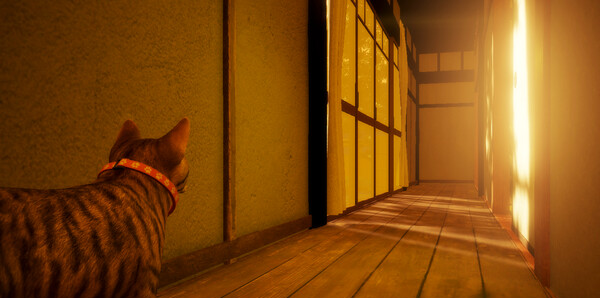 《猫还在逃吗？》官方版