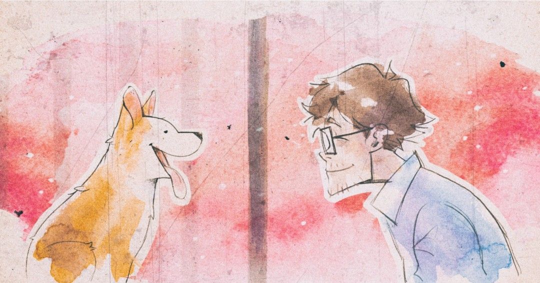 《我的小柯基》官方版