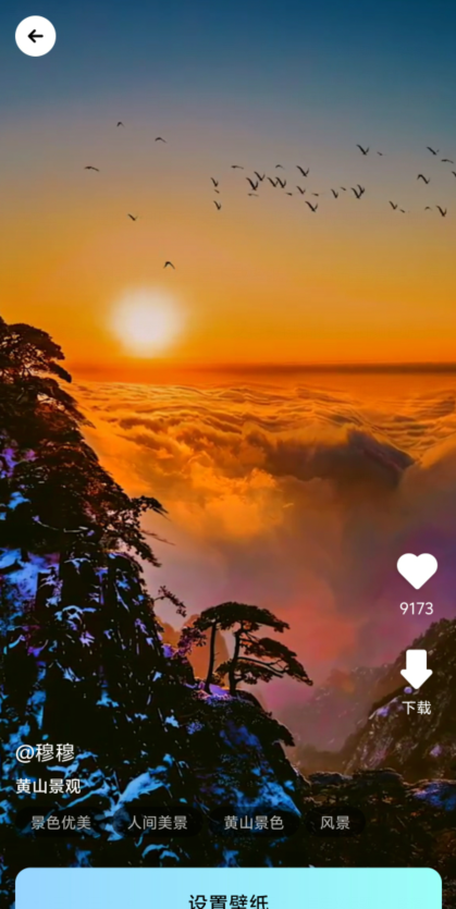 a2092fee960fd159e1e0885bcd94da71.png image.png