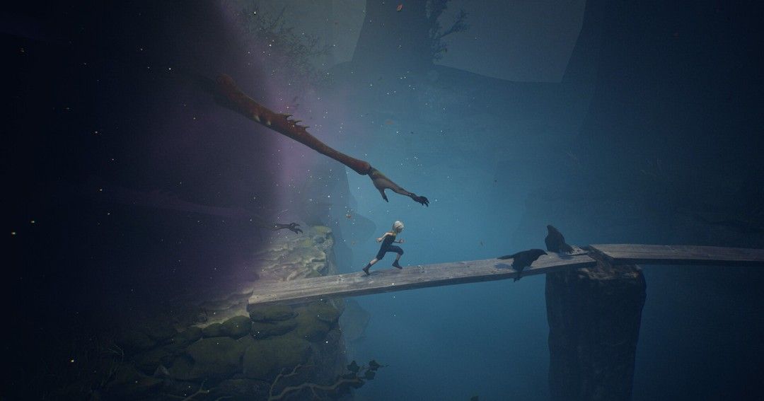 《寂静之国的波斯菊》官方版