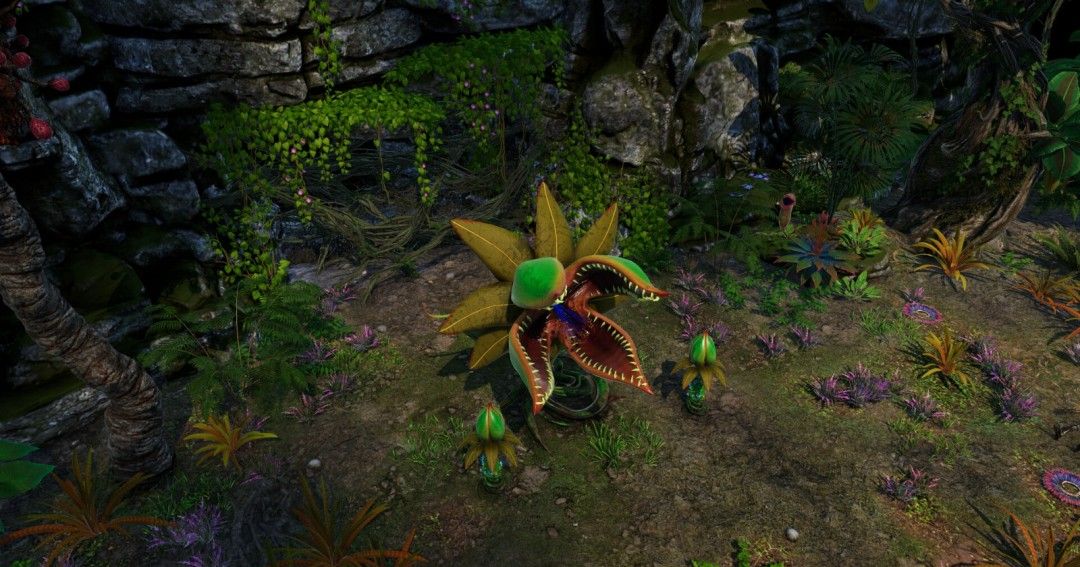 《剑湾奇旅》官方版