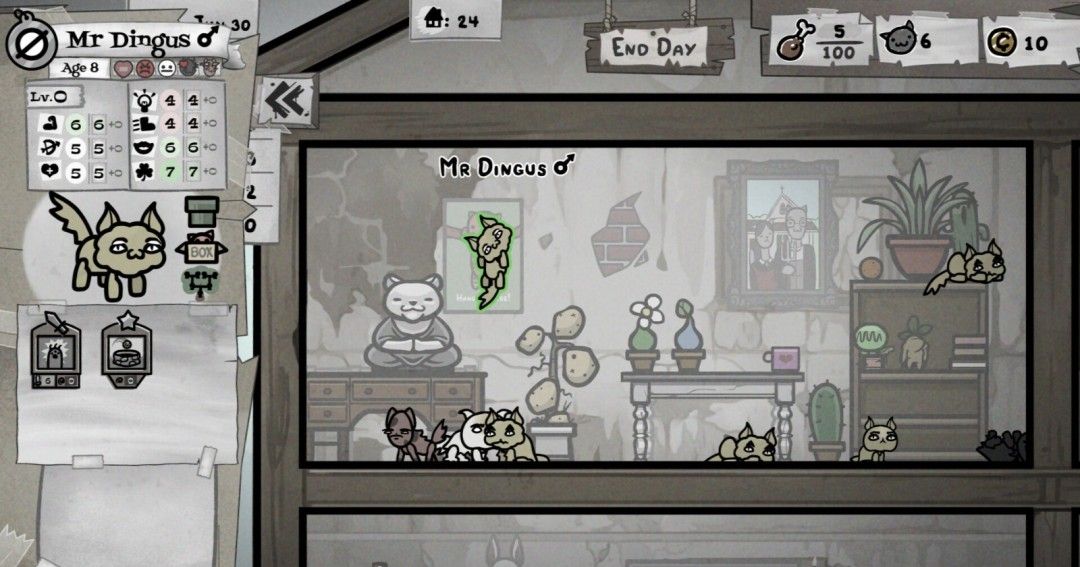 《喵喵的结合》官方版