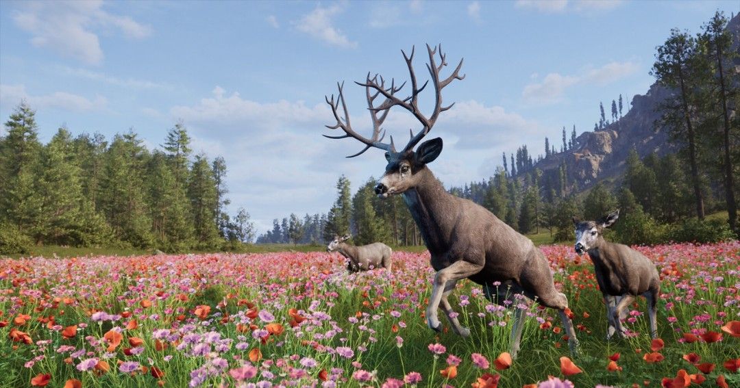 《Way of the Hunter 2》demo