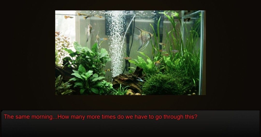 《8:00 AM : Still Morning》免安装汉化版