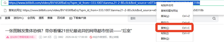 ByClick Downloader绿色版