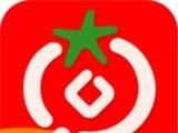 番茄看点logo图