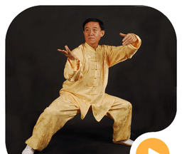 太极拳视频logo图