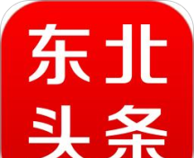 东北头条logo图