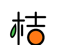 金桔小说logo图