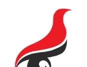 学信网查学历查询官网logo图