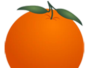 金桔社交浏览器logo图