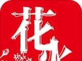 花火小说logo图
