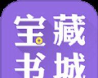 宝藏书城logo图