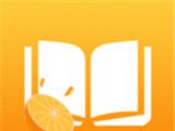 橙子小说logo图