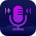 幂果变声器  