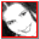 Selteco Bannershop GIF Animator软件logo图