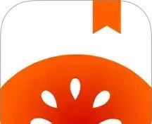 番茄免费小说logo图