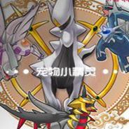 口袋妖怪：mega进化