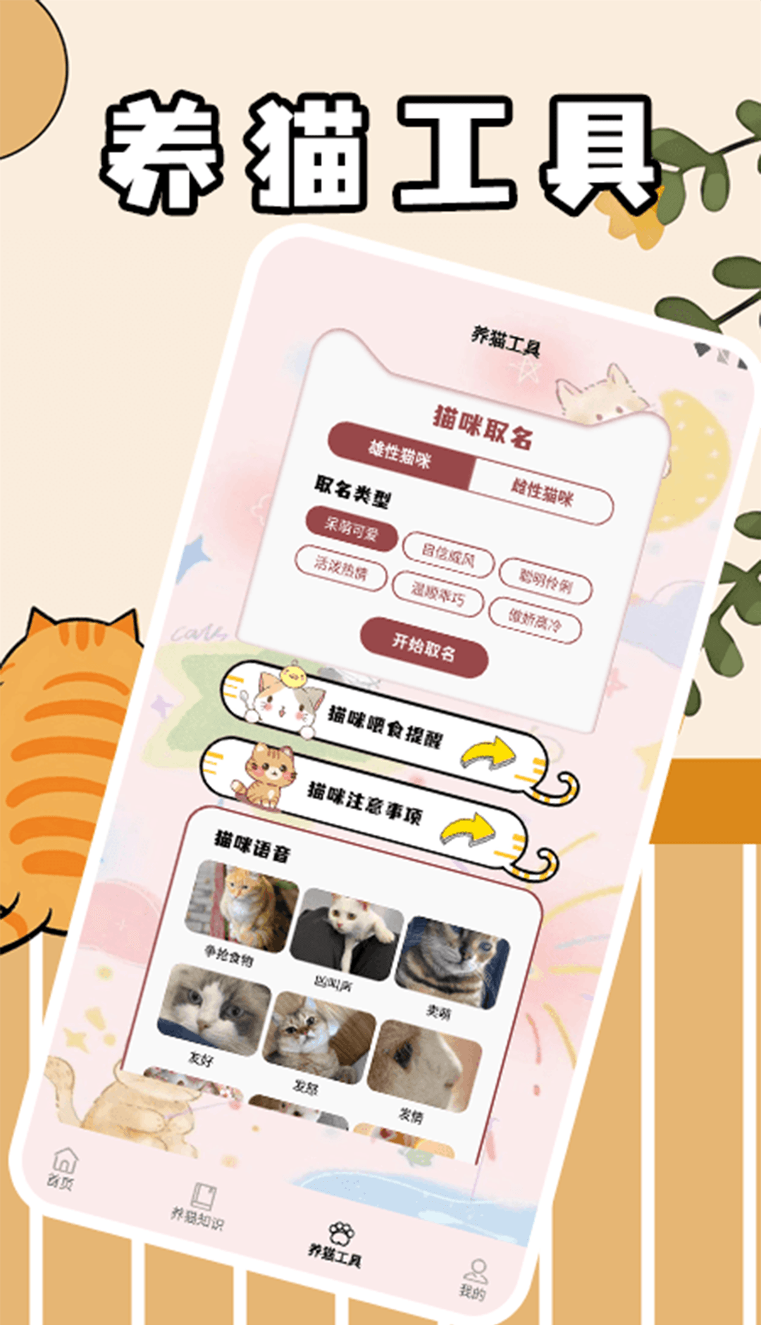 筑梦猫舍极速版