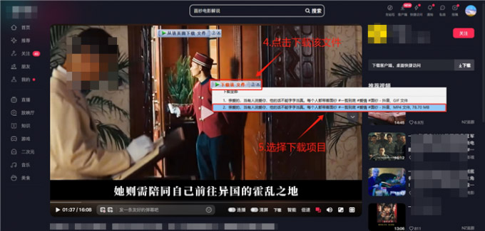 internet download manager中文版