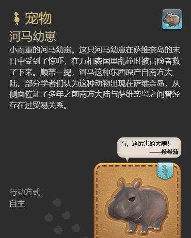 《最终幻想14：水晶世界》河马幼崽获得方法