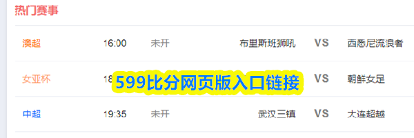 599比分网页版入口链接
