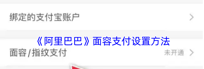 《阿里巴巴》面容支付设置方法