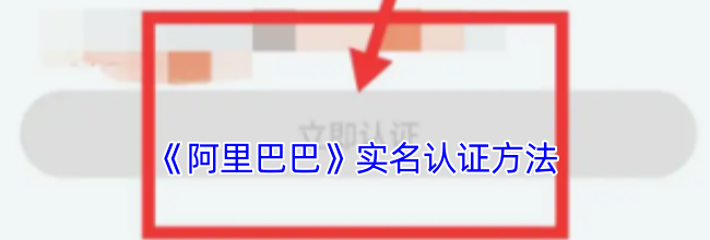 《阿里巴巴》实名认证方法
