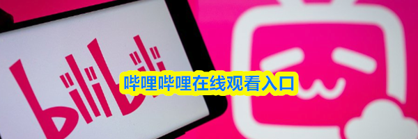 哔哩哔哩在线观看入口