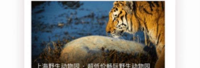 彩贝壳app佣金赚取入口