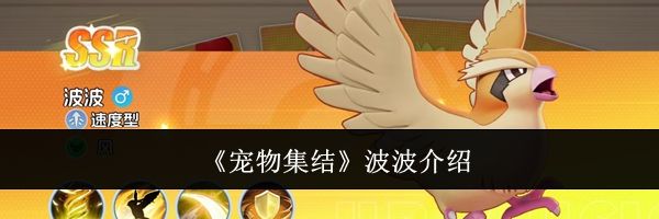 《宠物集结》波波介绍