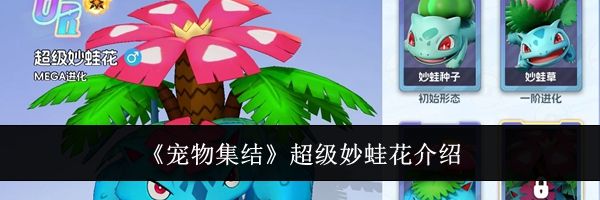 《宠物集结》超级妙蛙花介绍