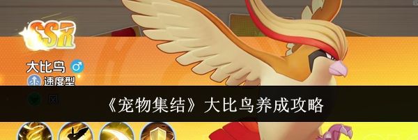 《宠物集结》大比鸟养成攻略