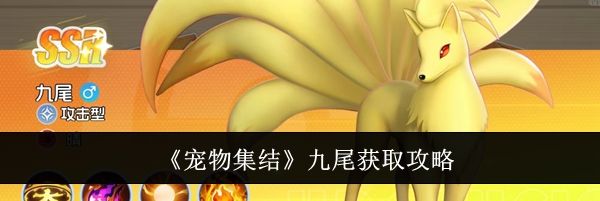 《宠物集结》九尾获取攻略