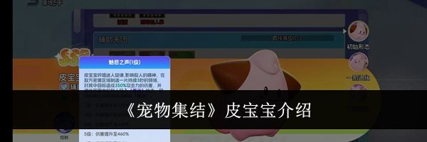 《宠物集结》皮宝宝介绍