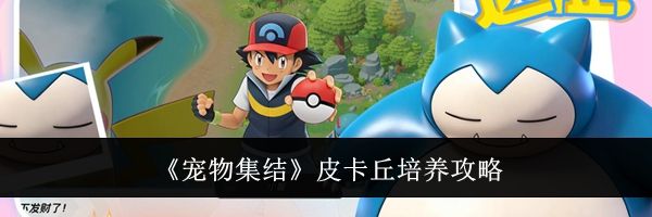 《宠物集结》皮卡丘培养攻略