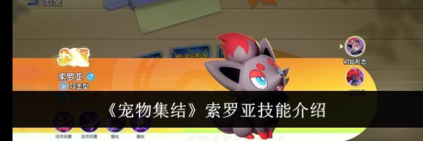 《宠物集结》索罗亚技能介绍