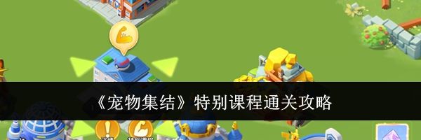 《宠物集结》特别课程通关攻略