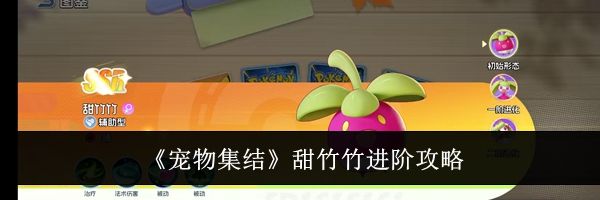 《宠物集结》甜竹竹进阶攻略