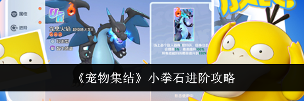 《宠物集结》小拳石进阶攻略