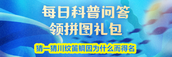 猜一猜川纹笛鲷因为什么而得名