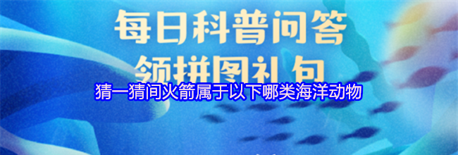 猜一猜间火箭属于以下哪类海洋动物
