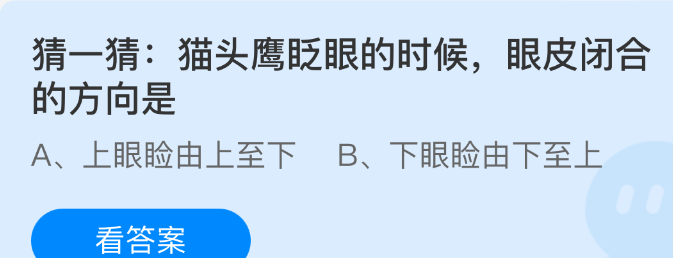 猜一猜猫头鹰眨眼的时候眼皮闭合的方向是