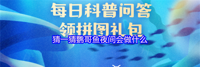 猜一猜鹦哥鱼夜间会做什么